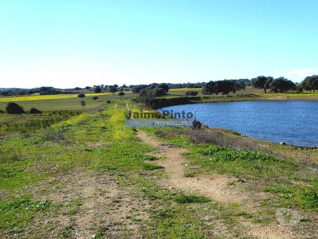 Terrenos Cuba - Fotos para 525ha, pastagens, cortiça e caça. Portugal, Beja, Cuba (8850_Q)