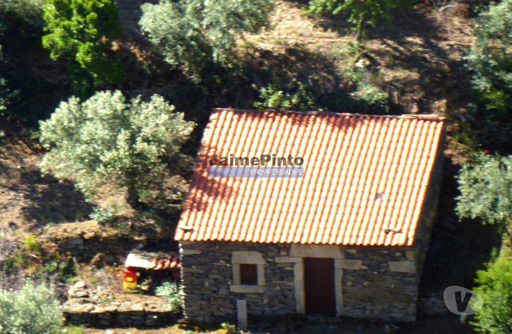 Terrenos Figueira de Castelo Rodrigo - Fotos para Casa de Campo em Ruína c pequeno Olival. Portugal, F. C.