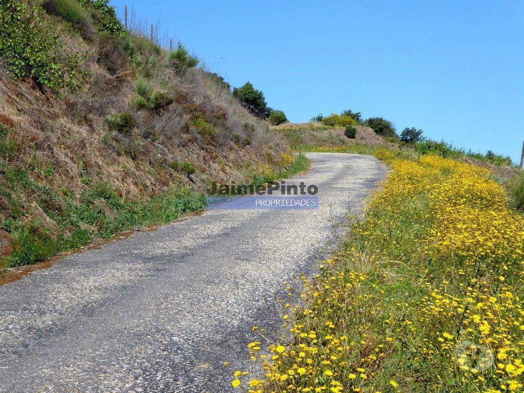 Terrenos Figueira de Castelo Rodrigo - Fotos para Casa de Campo em Ruína c pequeno Olival. Portugal, F. C.