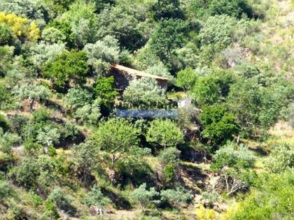 Terrenos - Fotos para Casa de Campo em Ruína c pequeno Olival. Portugal, F. C.