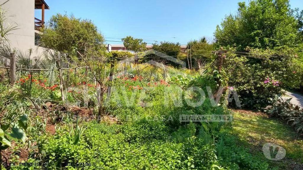 Terrenos Baião - Fotos para Tereno Rústico em Baião na zona de Campo da Portela Limite de