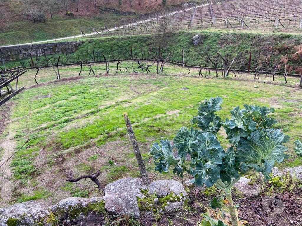Terrenos Baião - Fotos para Tereno Rústico em Baião na zona de Campo da Portela Limite de