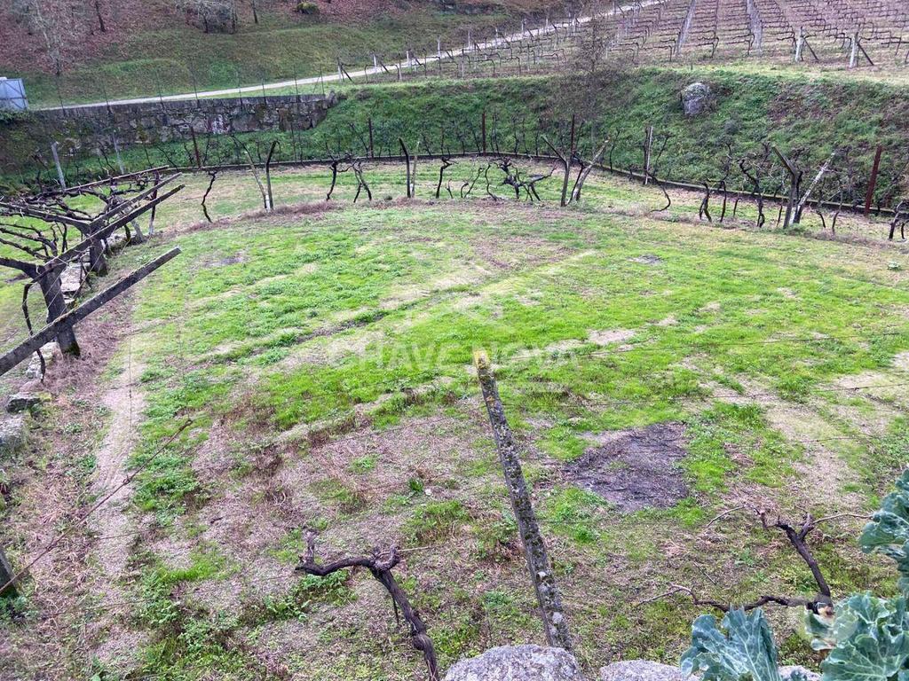 Terrenos Baião - Fotos para Tereno Rústico em Baião na zona de Campo da Portela Limite de