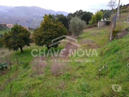 Terrenos - Fotos para Baiao-Terreno Misto Baião (OD 01385)