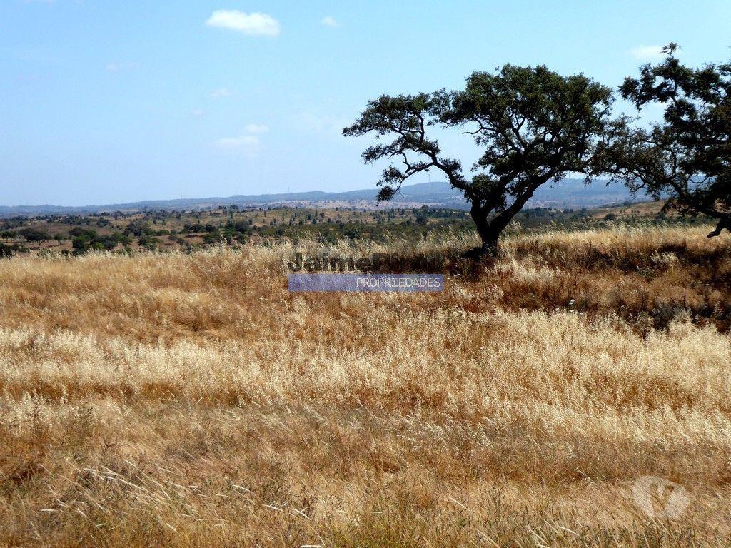 Terrenos Almodôvar - Fotos para Herdade 162,5ha no Alentejo. Portugal, Beja, Almodôvar (8885_T)