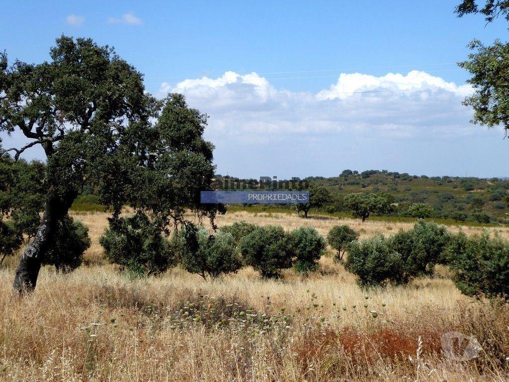 Terrenos Almodôvar - Fotos para Herdade 162,5ha no Alentejo. Portugal, Beja, Almodôvar (8885_T)