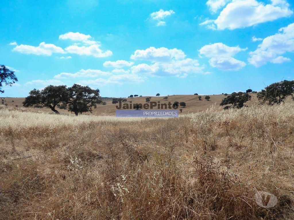 Terrenos Almodôvar - Fotos para Herdade 162,5ha no Alentejo. Portugal, Beja, Almodôvar (8885_T)