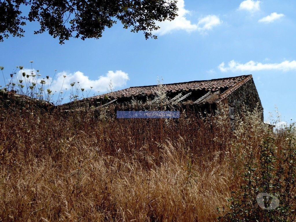 Terrenos Almodôvar - Fotos para Herdade 162,5ha no Alentejo. Portugal, Beja, Almodôvar (8885_T)