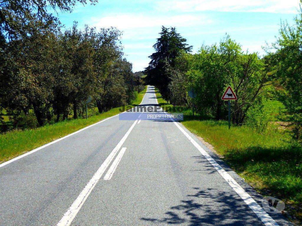 Terrenos Almodôvar - Fotos para Herdade 162,5ha no Alentejo. Portugal, Beja, Almodôvar (8885_T)