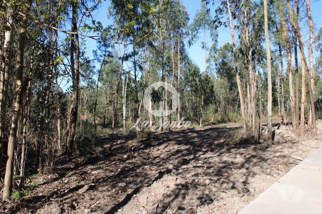 Terrenos Barcelos - Fotos para Barcelos-Terreno para construção de moradias (265-T-00515)
