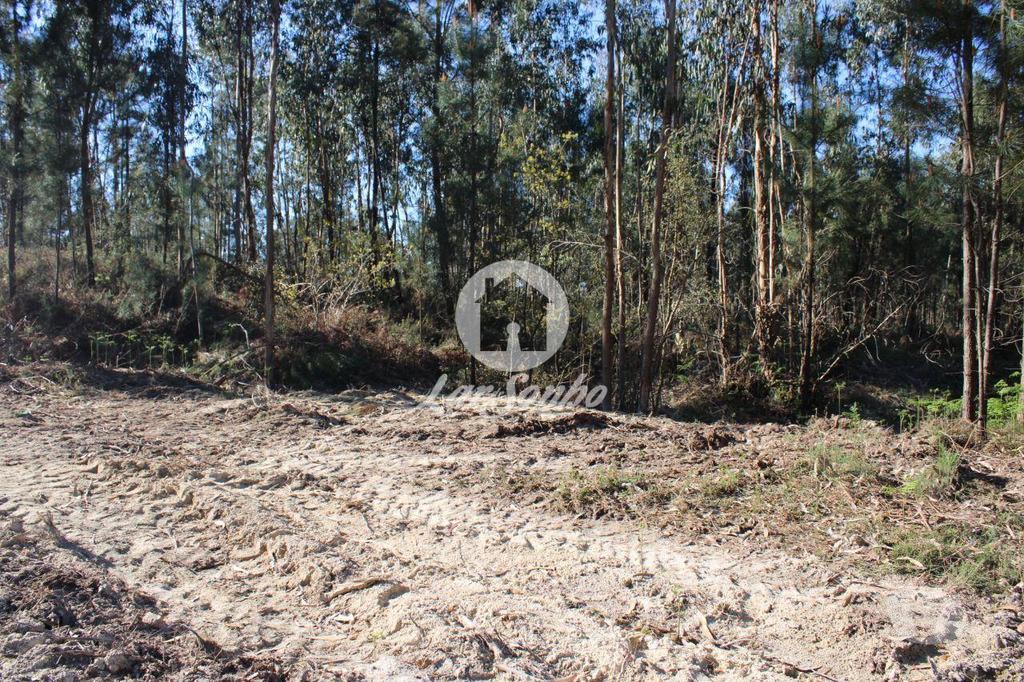 Terrenos Barcelos - Fotos para Barcelos-Terreno para construção de moradias (265-T-00515)