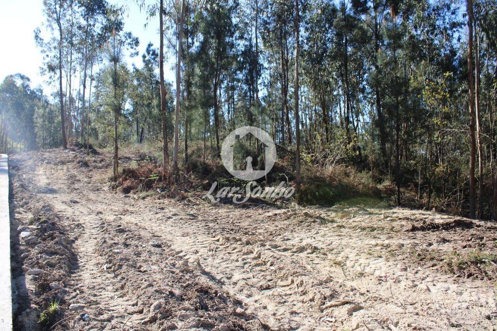 Terrenos Barcelos - Fotos para Barcelos-Terreno para construção de moradias (265-T-00515)