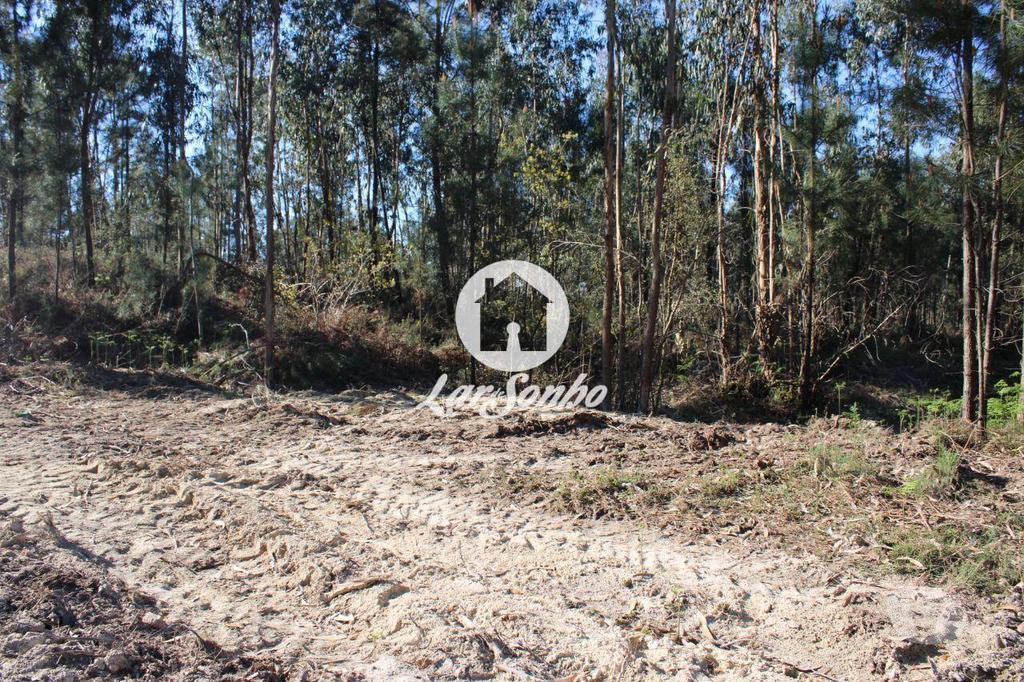 Terrenos Barcelos - Fotos para Barcelos-Terreno para construção de moradias (265-T-00515)