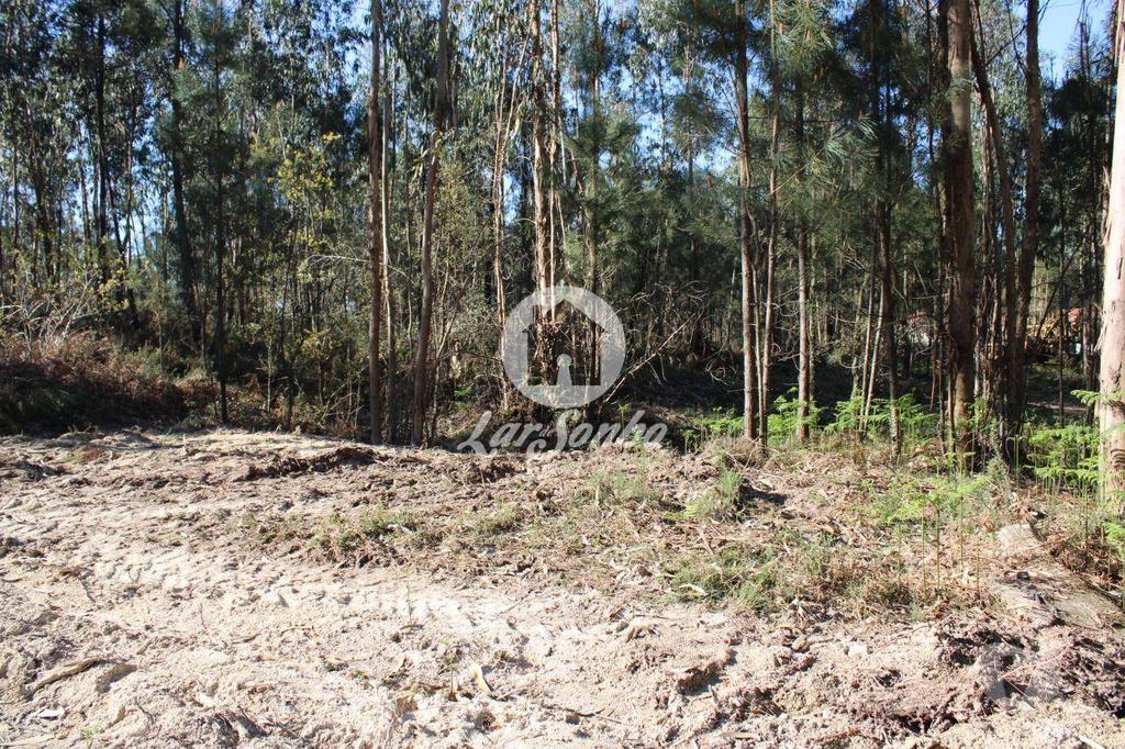 Terrenos Barcelos - Fotos para Barcelos-Terreno para construção de moradias (265-T-00515)