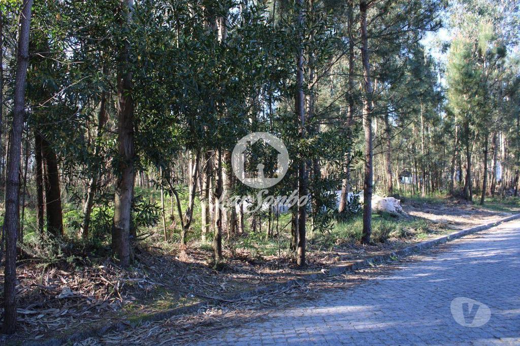 Terrenos Barcelos - Fotos para Barcelos-Terreno para construção de moradias (265-T-00515)