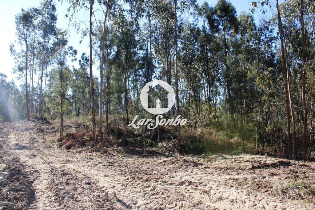 Terrenos Barcelos - Fotos para Barcelos-Terreno para construção de moradias (265-T-00515)