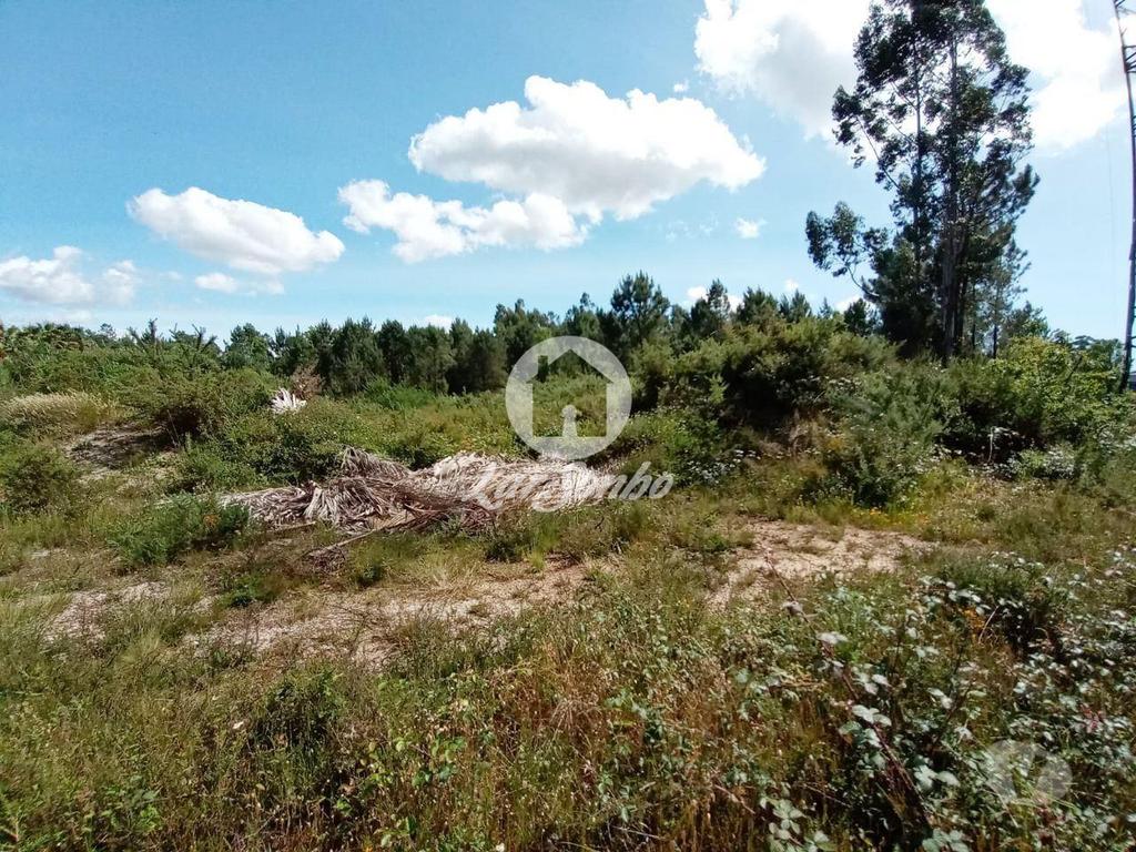 Terrenos Barcelos - Fotos para Barcelos-Terreno industrial para construção (265-T-00619)