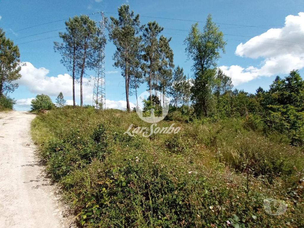 Terrenos Barcelos - Fotos para Barcelos-Terreno industrial para construção (265-T-00619)