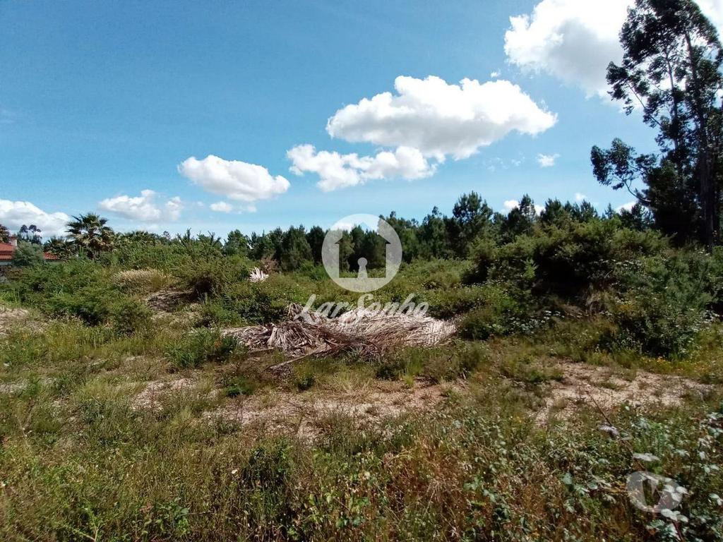 Terrenos Barcelos - Fotos para Barcelos-Terreno industrial para construção (265-T-00619)