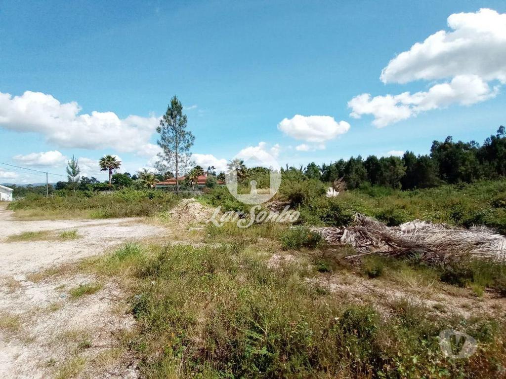 Terrenos Barcelos - Fotos para Barcelos-Terreno industrial para construção (265-T-00619)