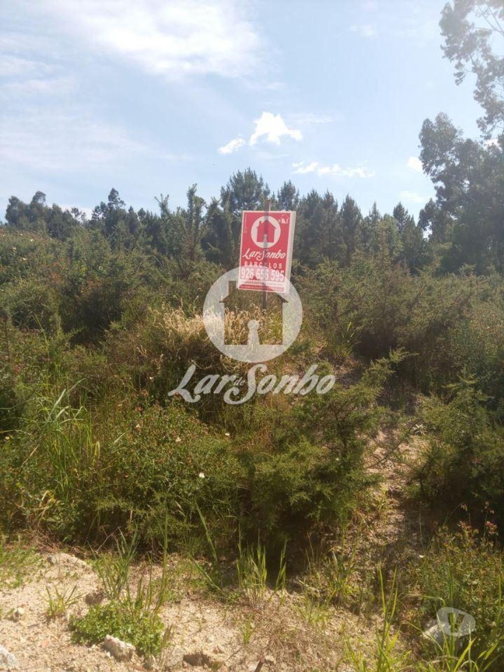 Terrenos Barcelos - Fotos para Barcelos-Terreno industrial para construção (265-T-00619)