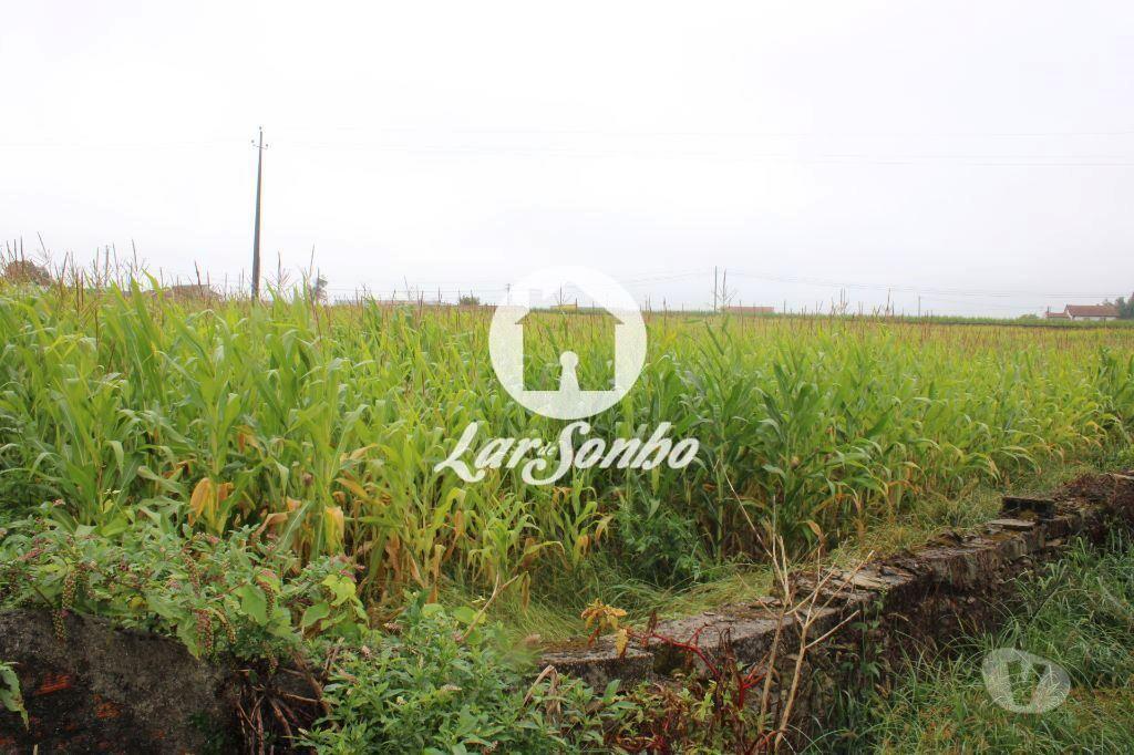 Terrenos Barcelos - Fotos para Barcelos-Terreno inserido em zona de construção (265-T-00551)