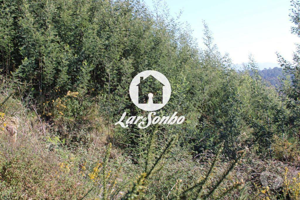 Comprar Loja Barcelos - Fotos para Terreno para construção em Barcelos