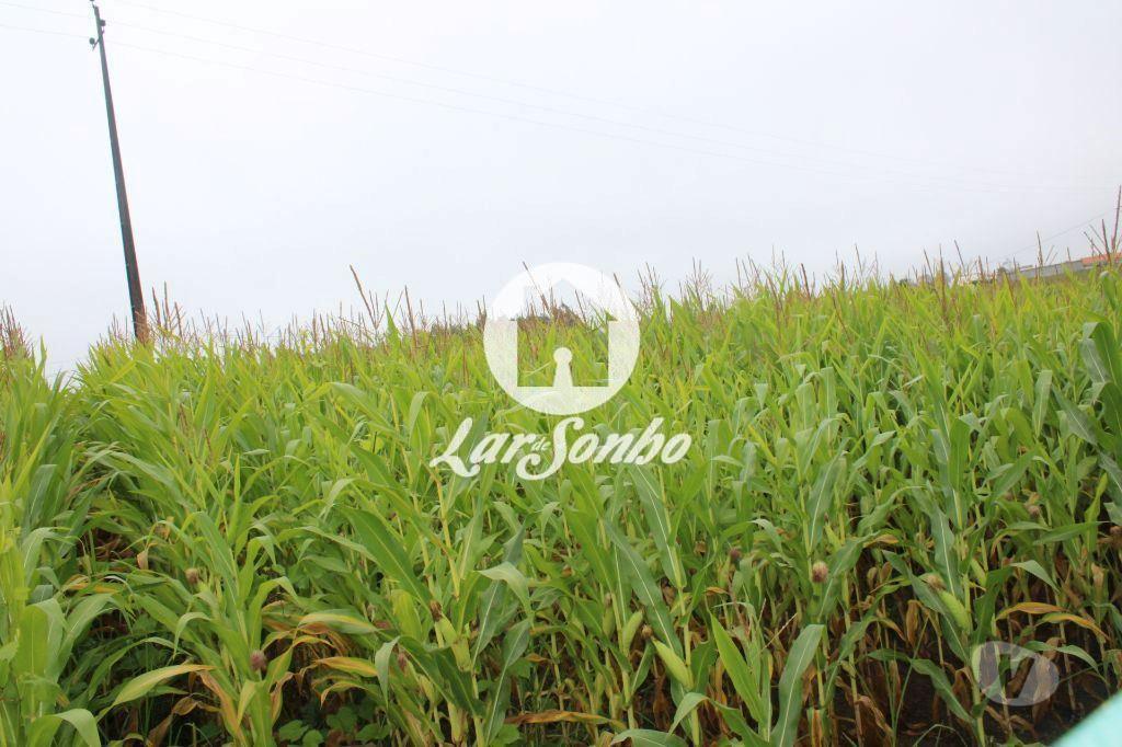 Terrenos Barcelos - Fotos para Barcelos-Terreno inserido em zona de construção (265-T-00550)