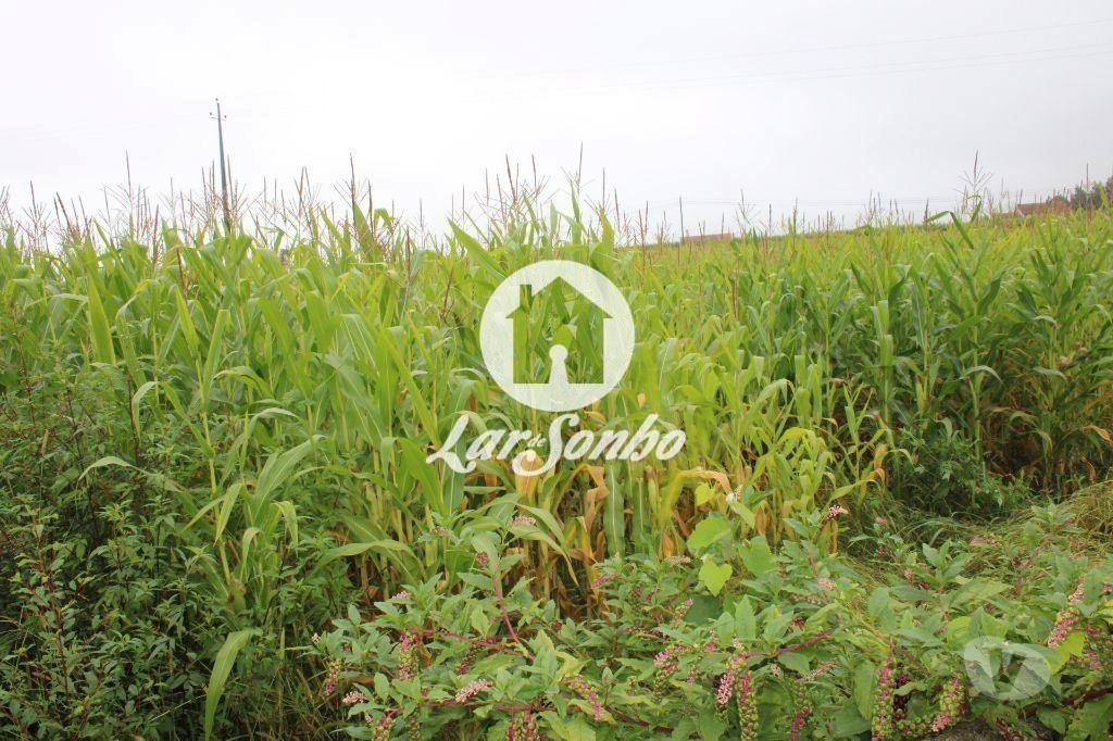 Terrenos Barcelos - Fotos para Barcelos-Terreno inserido em zona de construção (265-T-00550)