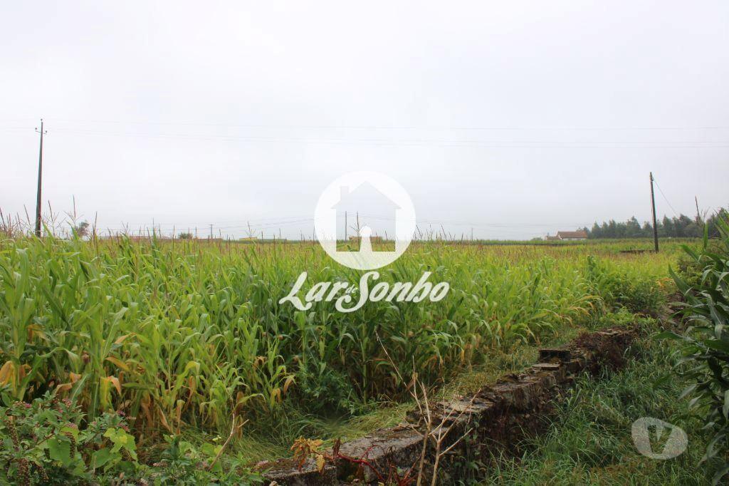 Terrenos Barcelos - Fotos para Barcelos-Terreno inserido em zona de construção (265-T-00550)