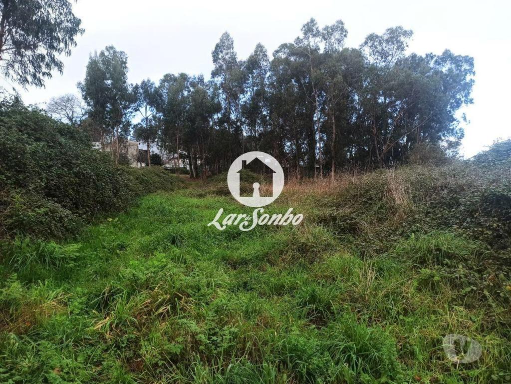 Comprar Loja Barcelos - Fotos para Terreno para Construção de moradias
