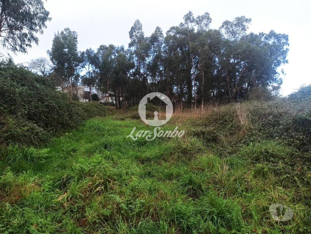 Comprar Loja Barcelos - Fotos para Terreno para Construção de moradias