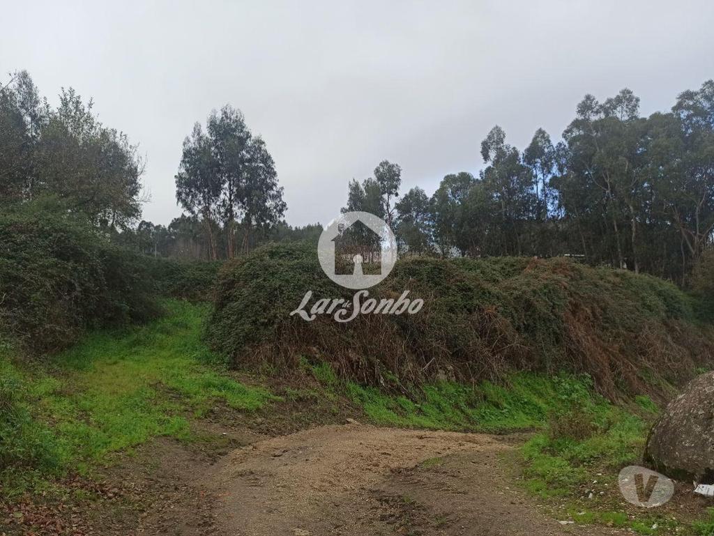 Comprar Loja Barcelos - Fotos para Terreno para Construção de moradias
