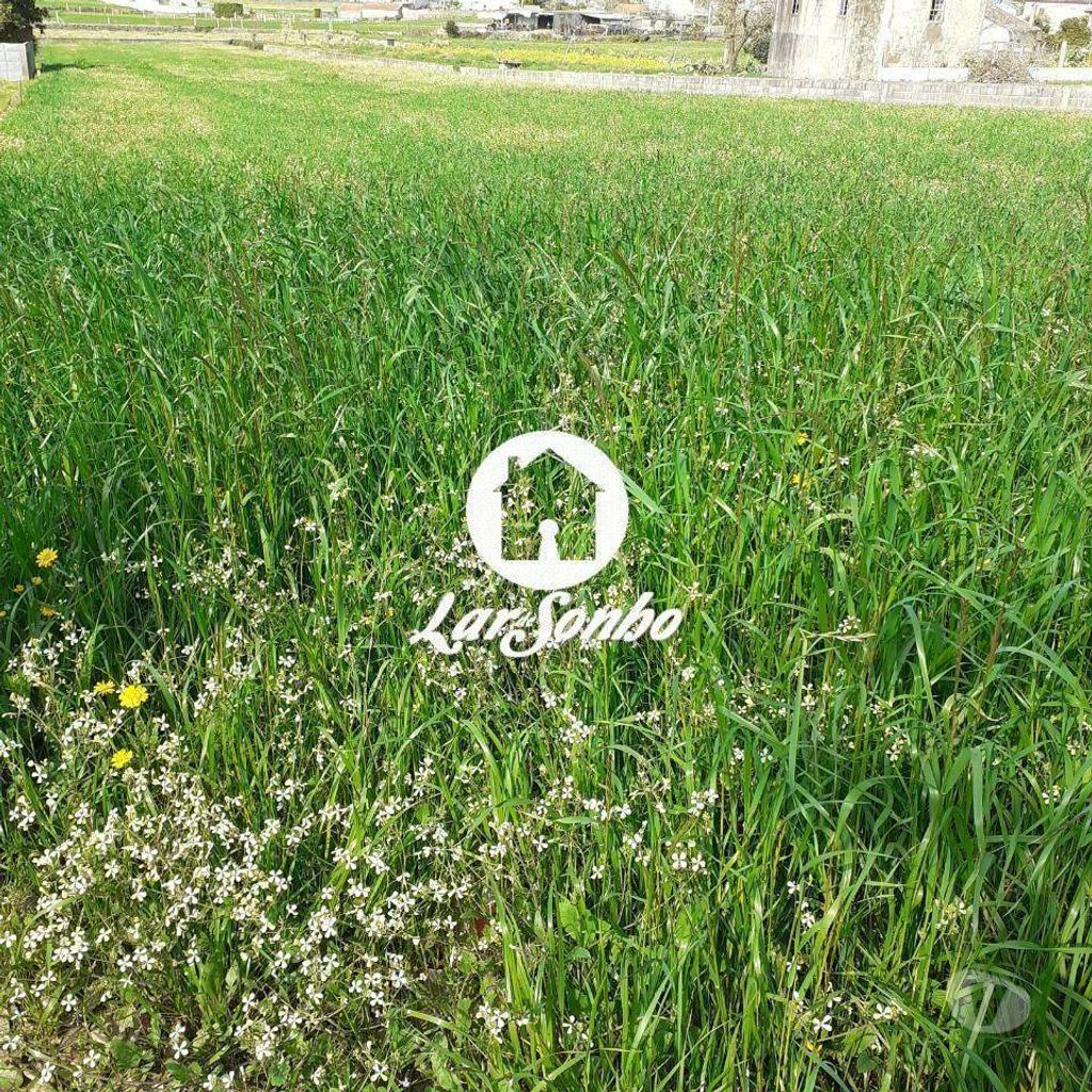 Terrenos Barcelos - Fotos para Terreno industrial para construção em Barcelos (265-T-00506)