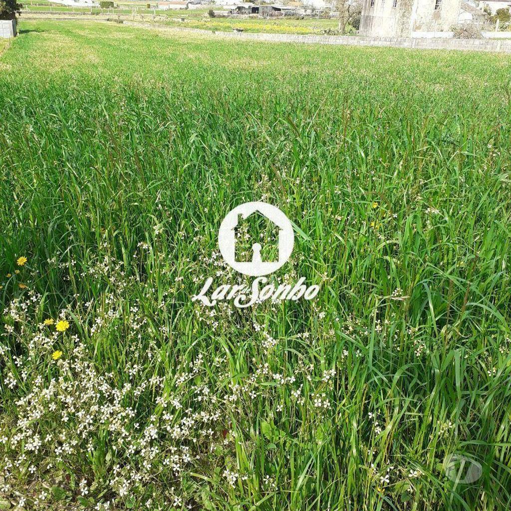 Terrenos Barcelos - Fotos para Terreno industrial para construção em Barcelos (265-T-00506)