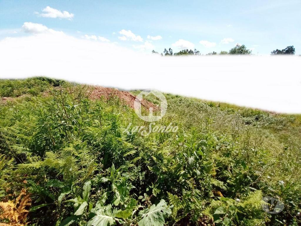 Comprar Loja Barcelos - Fotos para Terreno para construção de moradia