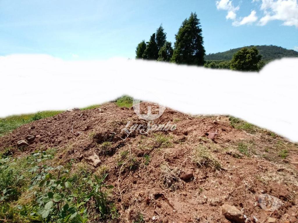 Comprar Loja Barcelos - Fotos para Terreno para construção de moradia