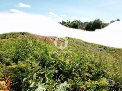 Comprar Loja - Fotos para Terreno para construção de moradia