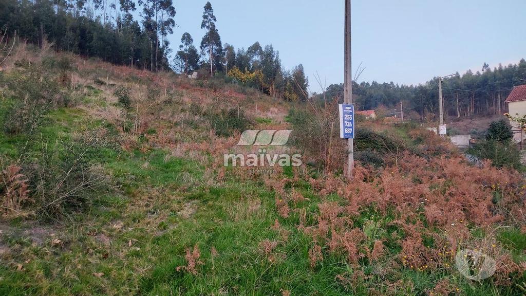 Terrenos Ponte de Lima - Fotos para Terreno rústico urbanizável 5.000m2 - Refoios de Lima, Ponte de