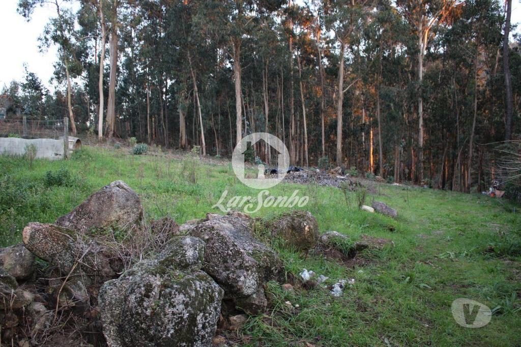 Terrenos Barcelos - Fotos para Barcelos-Terreno para construção (265-T-00844)