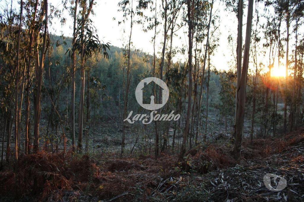 Terrenos Barcelos - Fotos para Barcelos-Terreno para construção (265-T-00844)