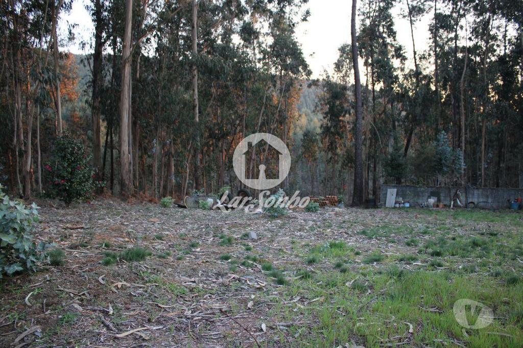 Terrenos Barcelos - Fotos para Barcelos-Terreno para construção (265-T-00844)