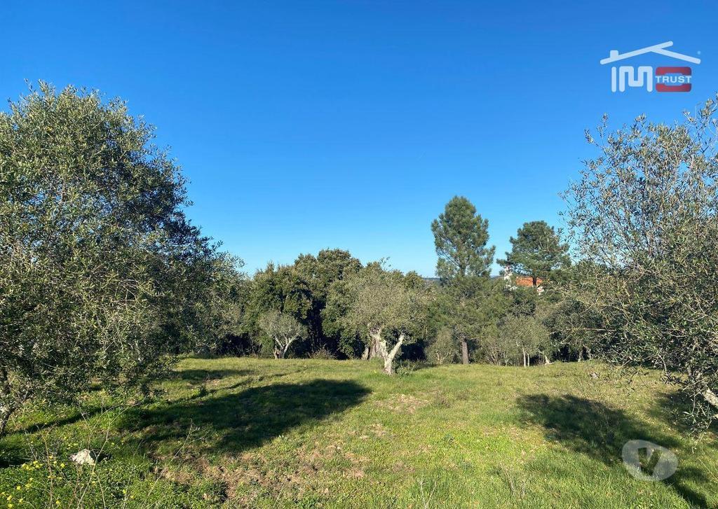 Terrenos Ourém - Fotos para Terreno com possibilidade de construção com uma área 2150 M2
