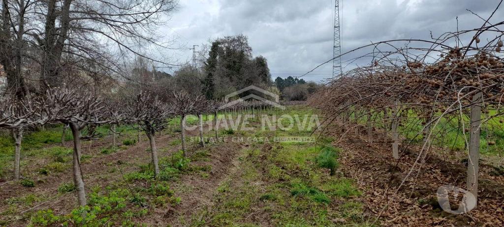 Terrenos Valongo - Fotos para Valongo-Terreno em Ermesinde (RT 01851)
