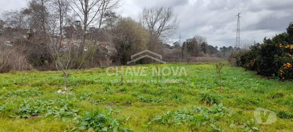 Terrenos Valongo - Fotos para Valongo-Terreno em Ermesinde (RT 01851)