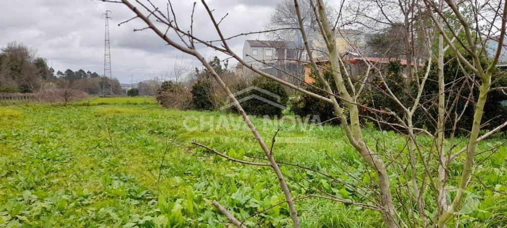 Terrenos Valongo - Fotos para Valongo-Terreno em Ermesinde (RT 01851)