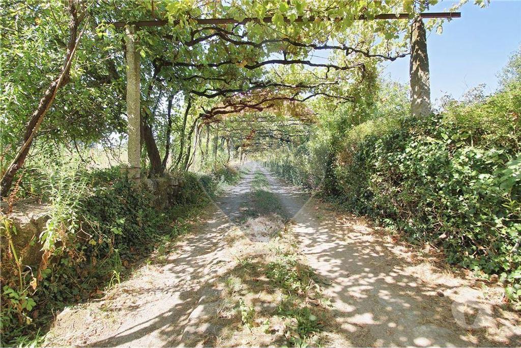 Terrenos Penafiel - Fotos para Penafiel-Quinta para Venda (125061156-13)