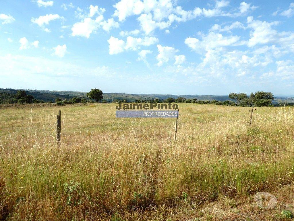 Terrenos Figueira de Castelo Rodrigo - Fotos para 580 000m2 terreno agrícola. Portugal, Guarda, F. C. Rodrigo.