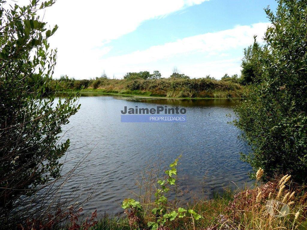 Terrenos Figueira de Castelo Rodrigo - Fotos para 580 000m2 terreno agrícola. Portugal, Guarda, F. C. Rodrigo.