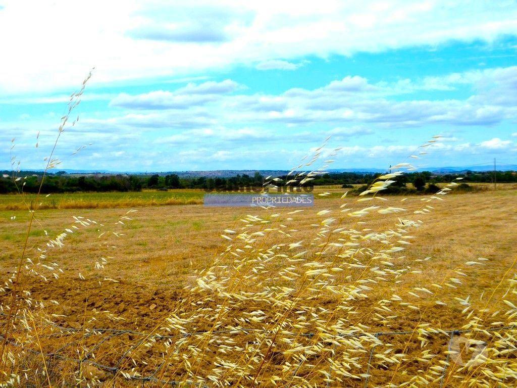 Terrenos Figueira de Castelo Rodrigo - Fotos para 580 000m2 terreno agrícola. Portugal, Guarda, F. C. Rodrigo.